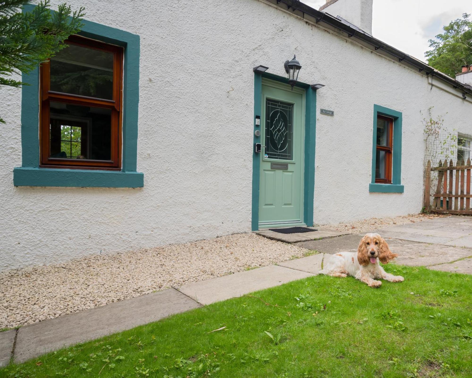 Tig Cottage - A Rural, Quirky, Pet Friendly 2 Bedroom Cottage Near Ballantrae Exterior photo